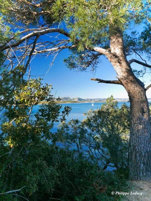 T2: 45M2 :4 Places :Independant Dans Villa Hyeres Exterior photo